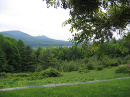 ashokan dreams